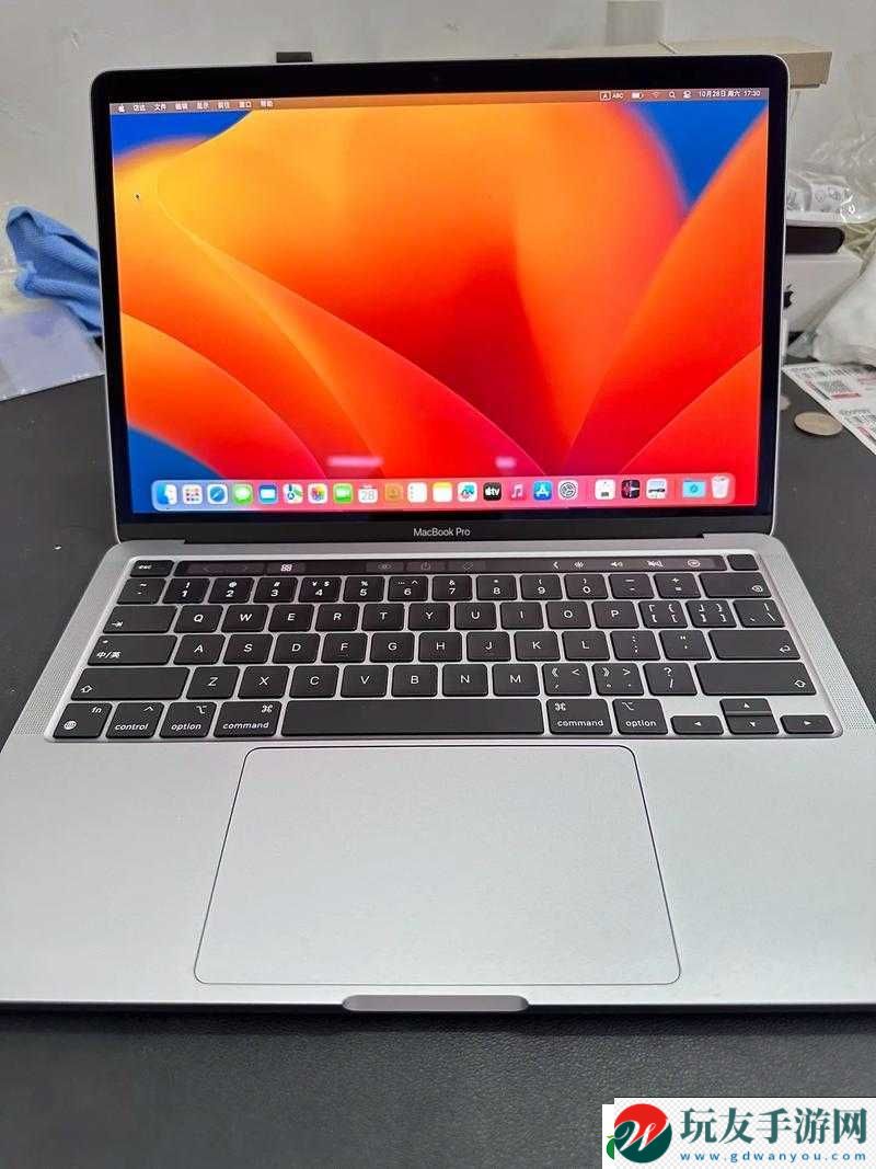 十九歲 MacBook Pro 高清完整版：體驗(yàn)極致性能
