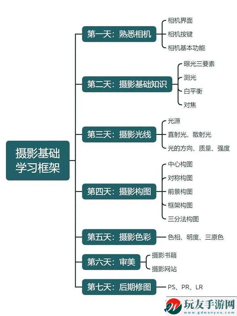 攝影藝術(shù)入門指南