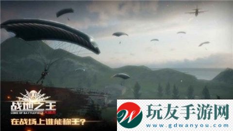 戰(zhàn)地之王國服