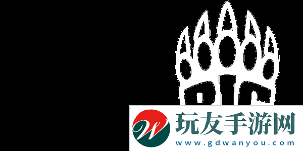reck腿部骨折