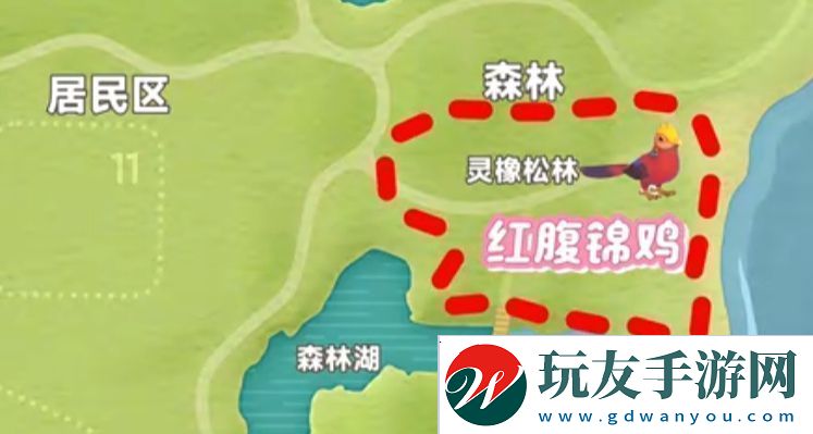 心動小鎮(zhèn)新春季第3周4只鳥位置