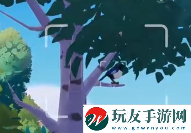 心動小鎮(zhèn)新春季第3周4只鳥位置
