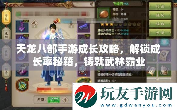 天龍八部手游成長(zhǎng)攻略，解鎖成長(zhǎng)率秘籍，鑄就武林霸業(yè)